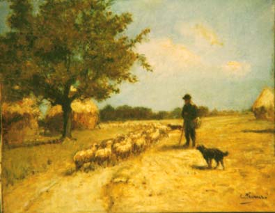 Moutons à Nandy